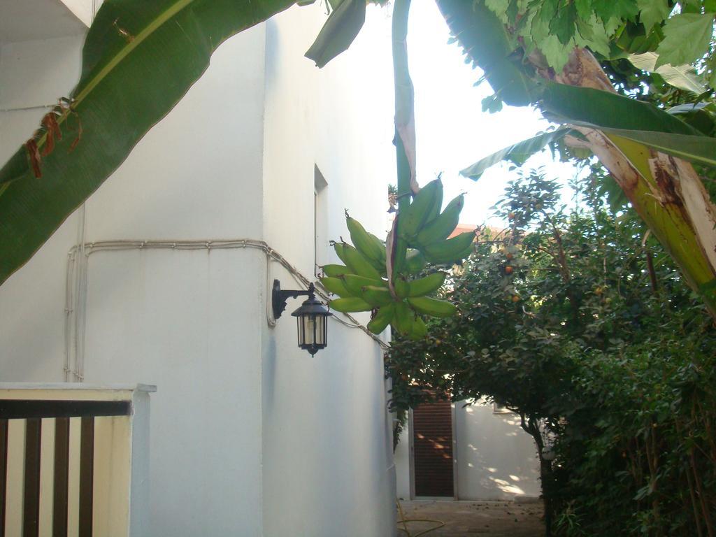 Karis Hotel Miasto Kos Zewnętrze zdjęcie